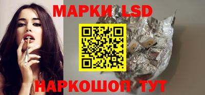 шишки Кимры