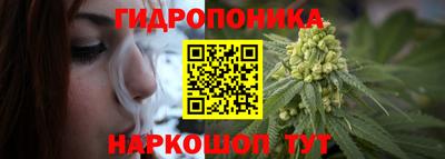 шишки Кимры