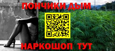шишки Кимры
