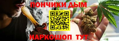 шишки Кимры