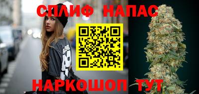 шишки Кимры