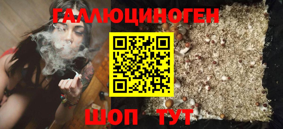Псилоцибиновые грибы ЛСД  Галлюциногенные грибы GOLDEN TEACHER  Королёв  Вход с VPN 