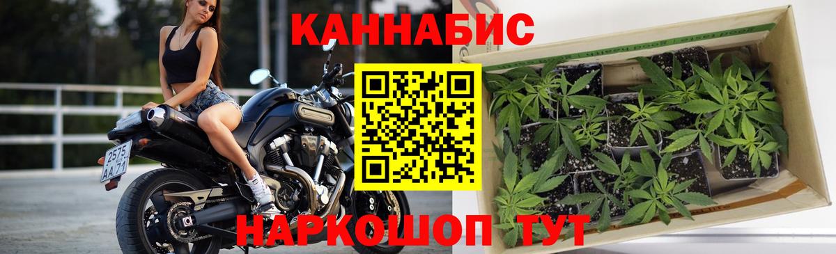 Королёв  Марихуана MAZAR  Бошки Шишки ГИДРОПОН  Вход с VPN 